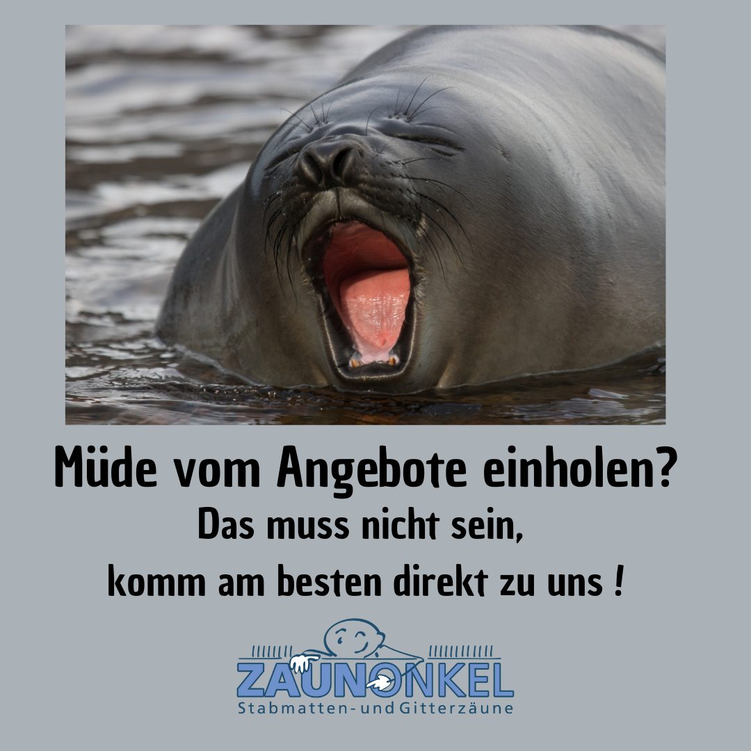 Pfotenzaun Projekt 3